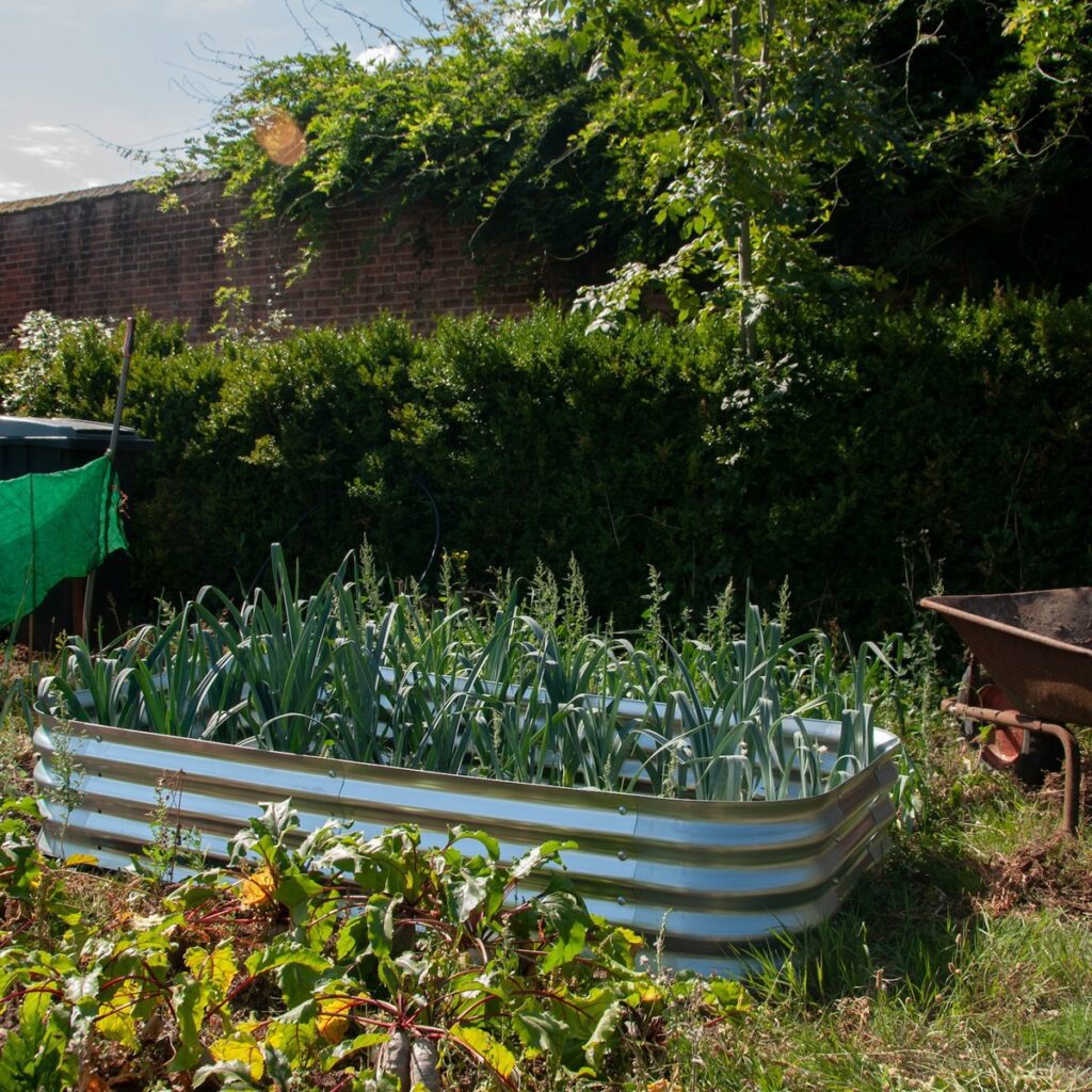 Hillier Galvansied Metal Raised Bed 5056771096907 2